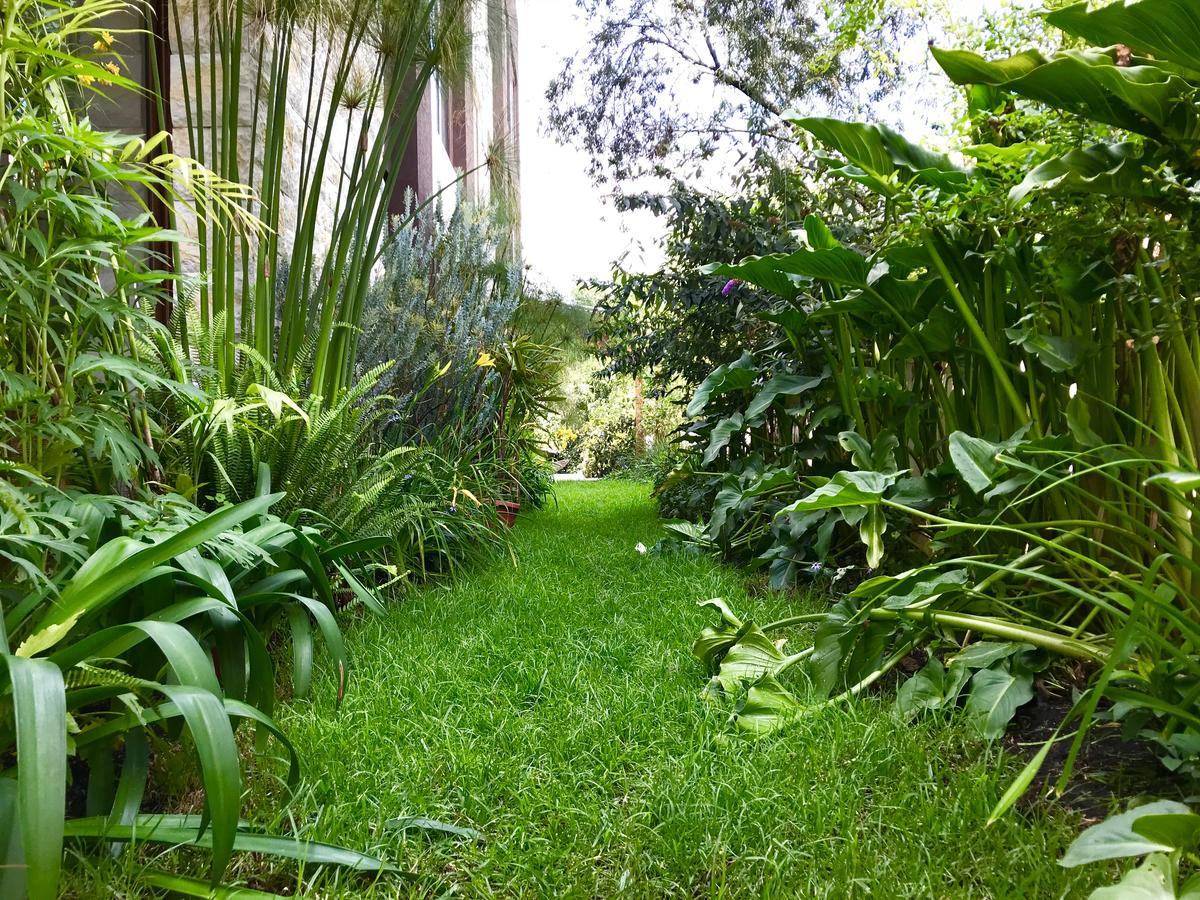 Ilalo Garden Hotel & Restaurant Quito Exterior photo